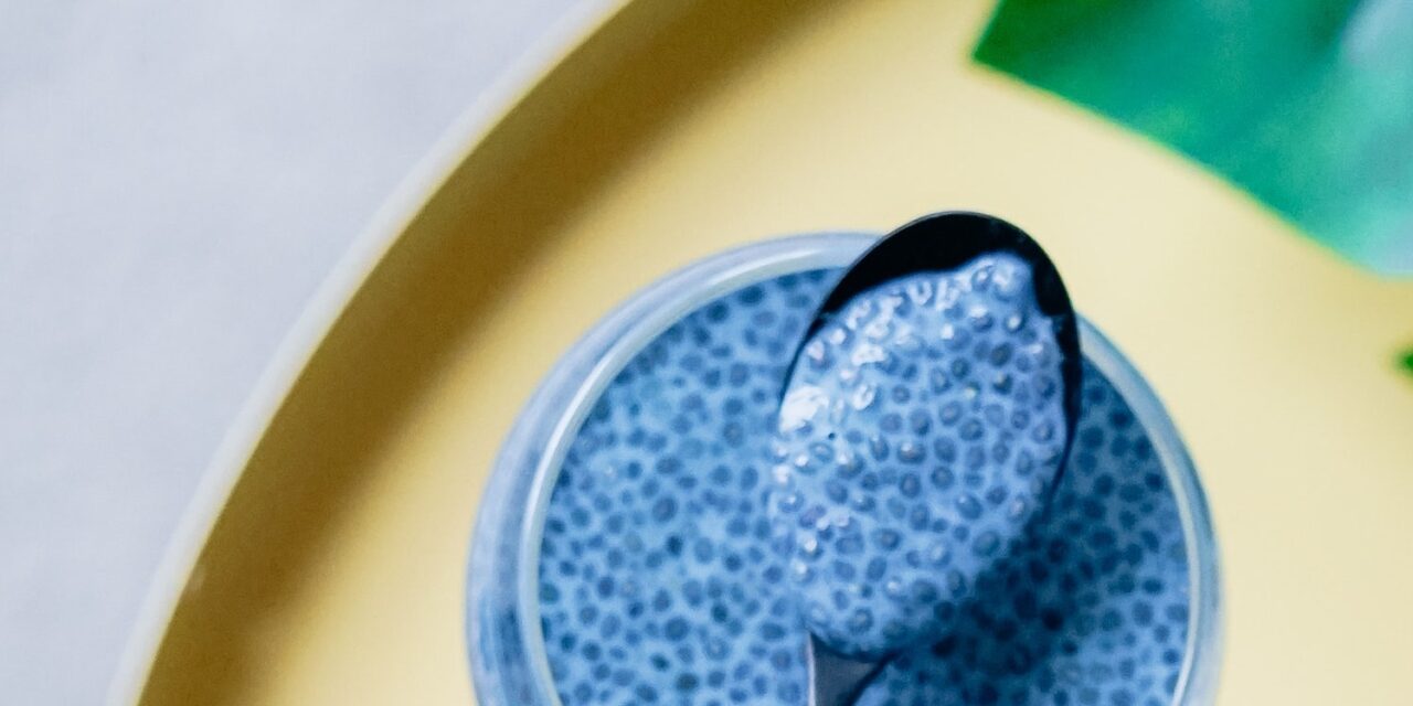 SID Friendly Chia Pudding